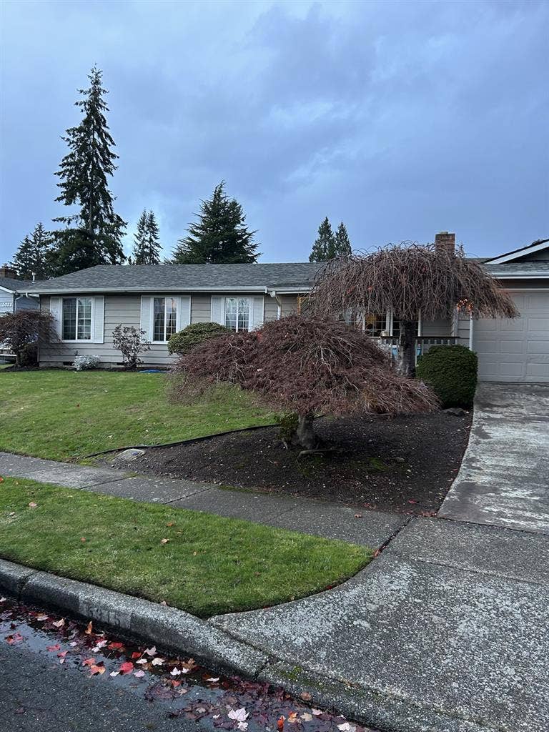 Immediate Room Rental/Lynnwood