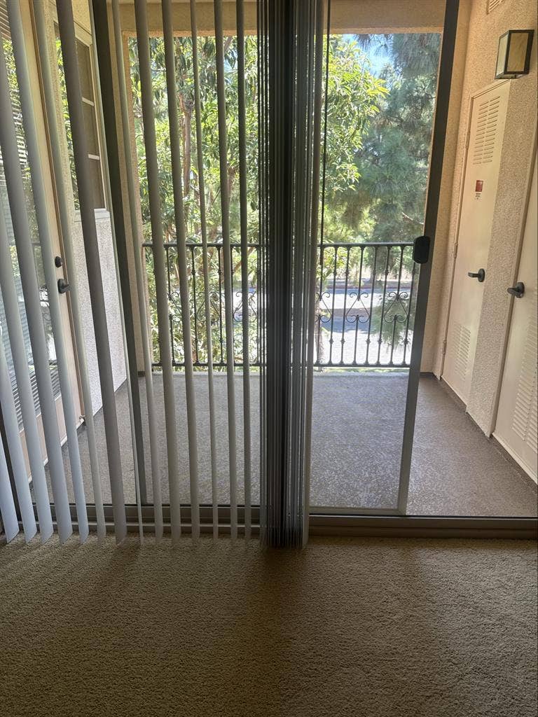 Looking for a roommate mid August