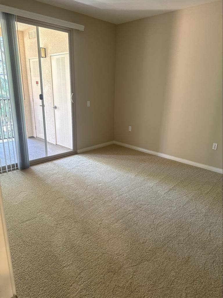 Looking for a roommate mid August