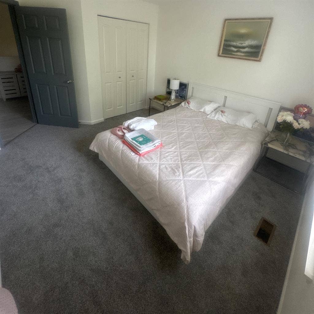 Wanted roommate in pingree grove