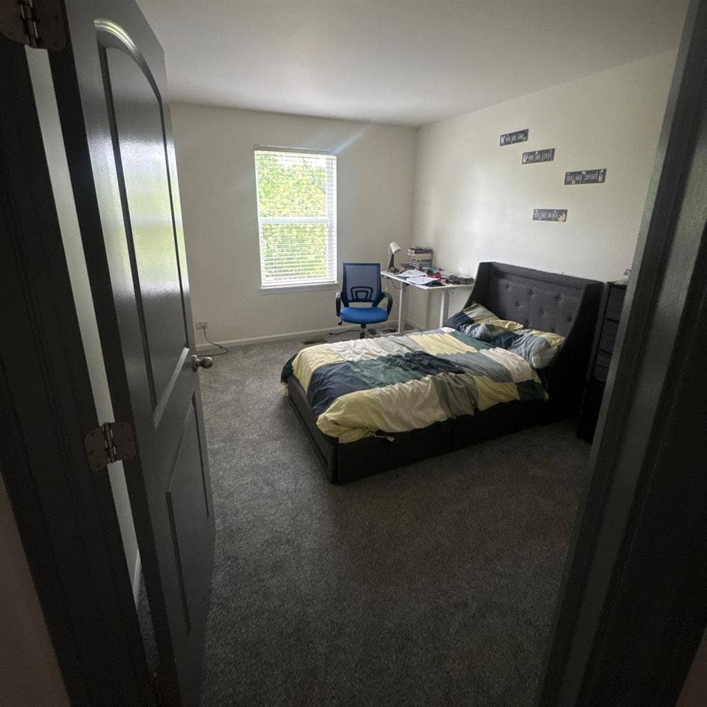 Wanted roommate in pingree grove