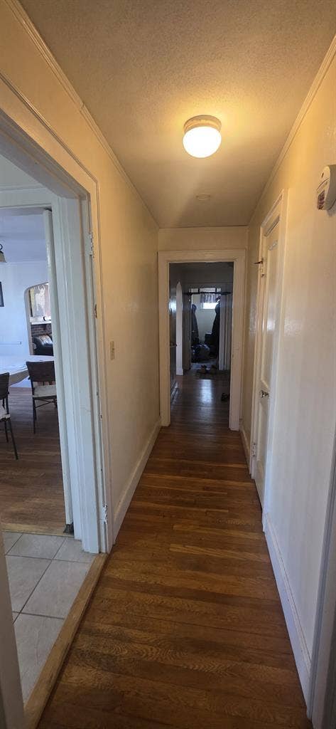 Looking for 3rd roommate for August