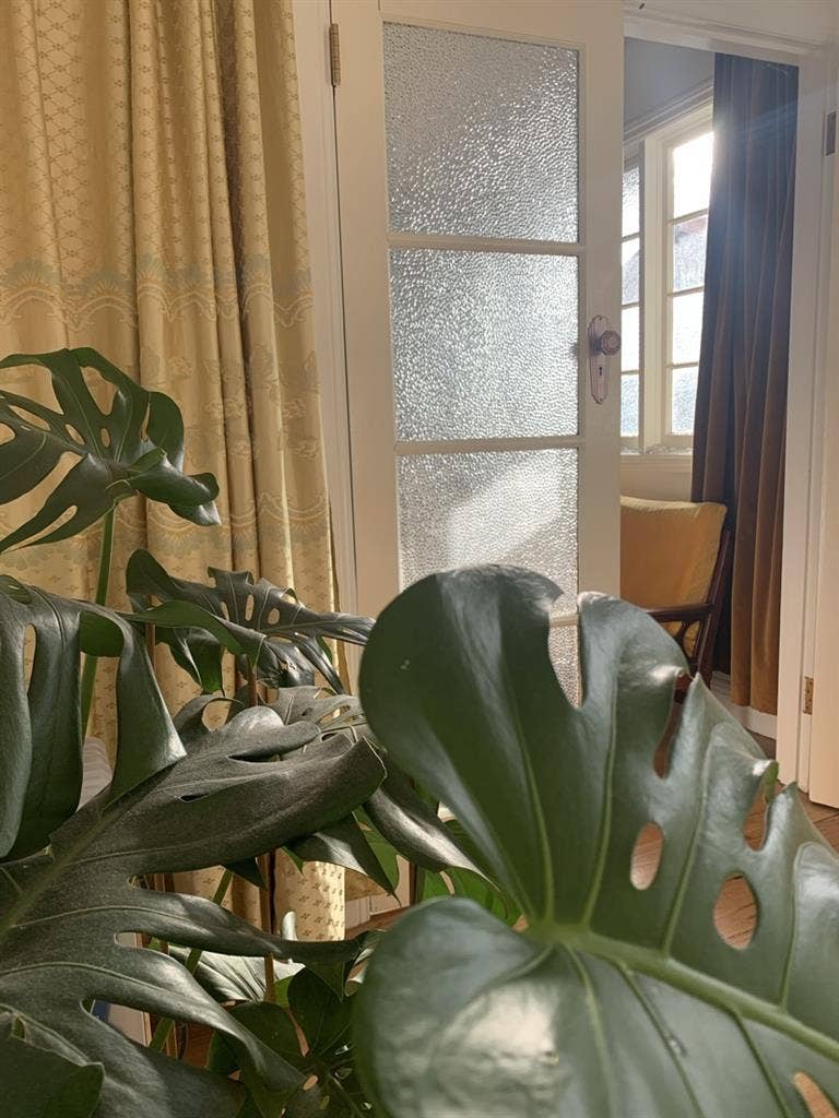 Large light filled room