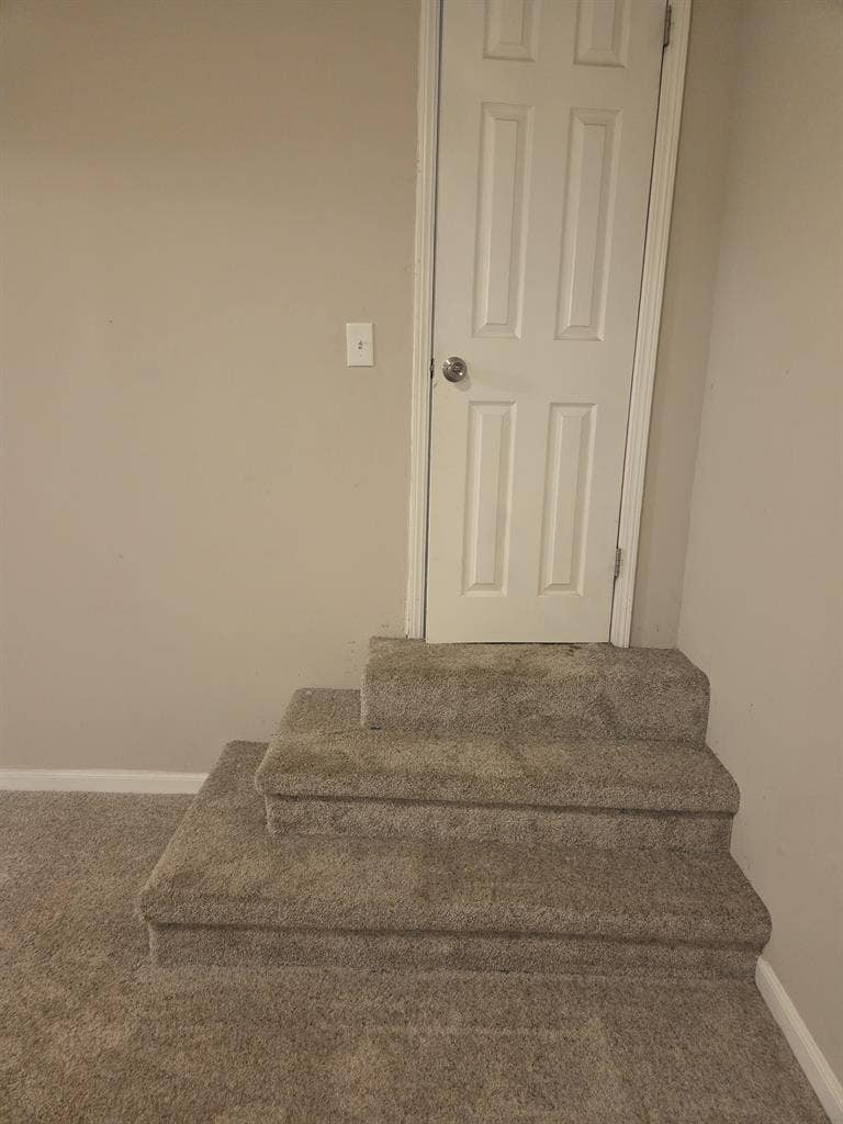 Looking for roomate