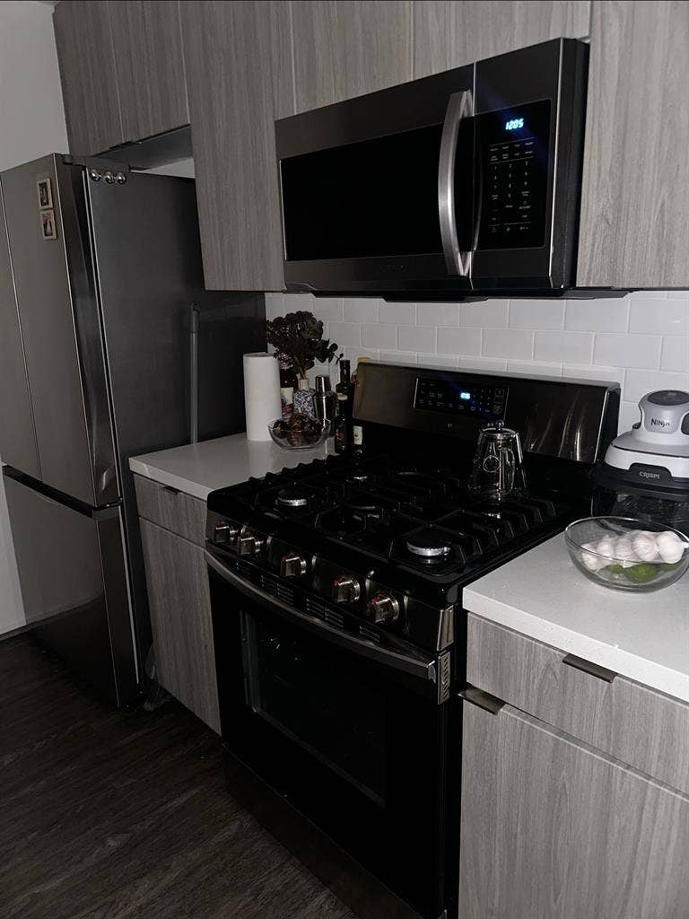 Looking for a roomie in luxury apt