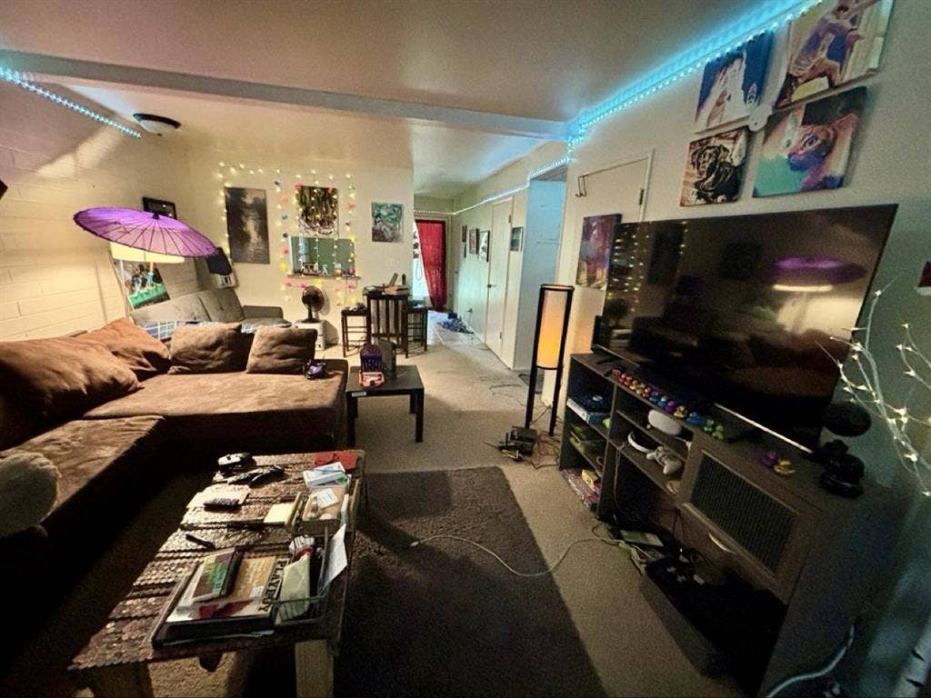 Awesome location, roommate, & dog!