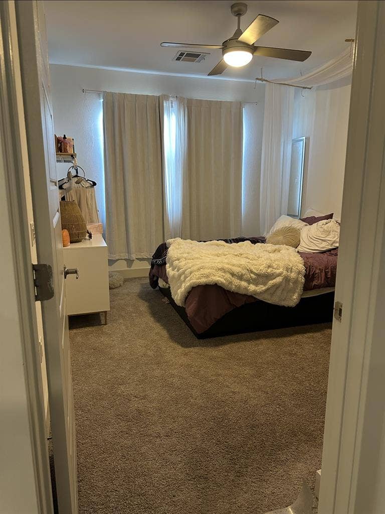 Roommate Needed