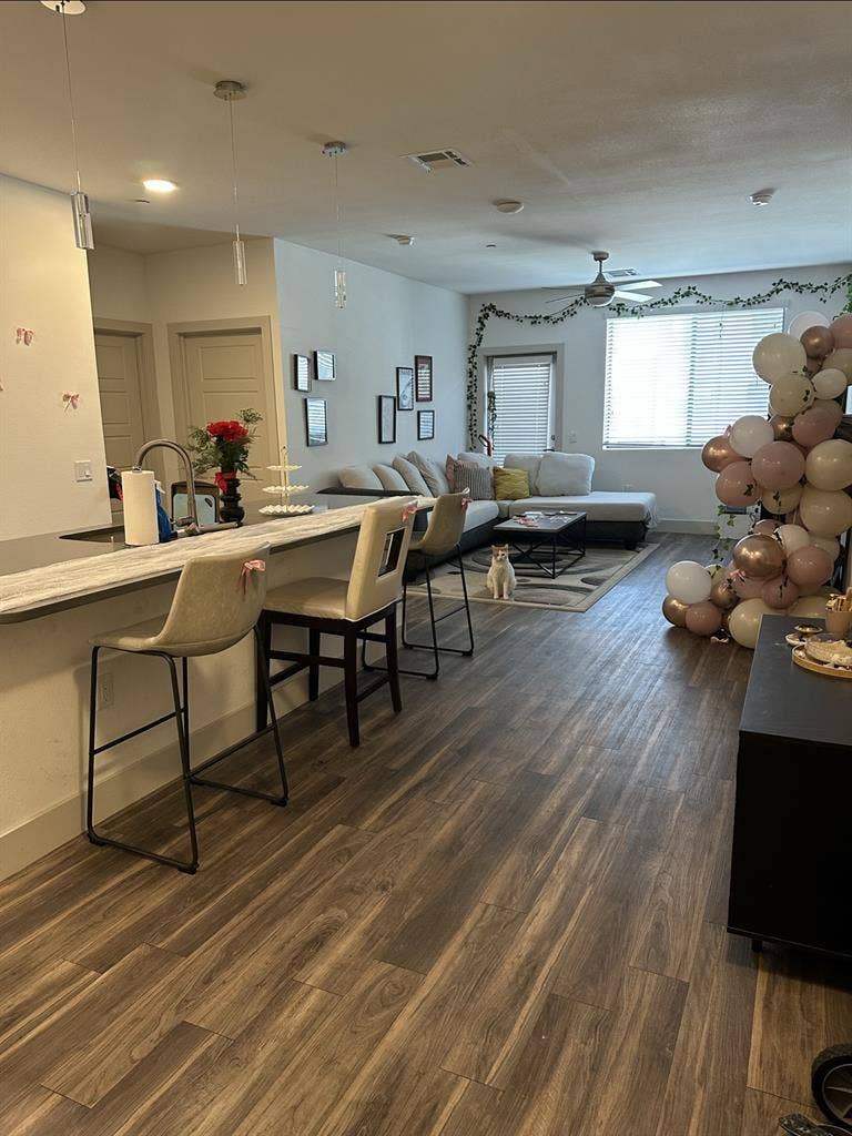 Roommate Needed