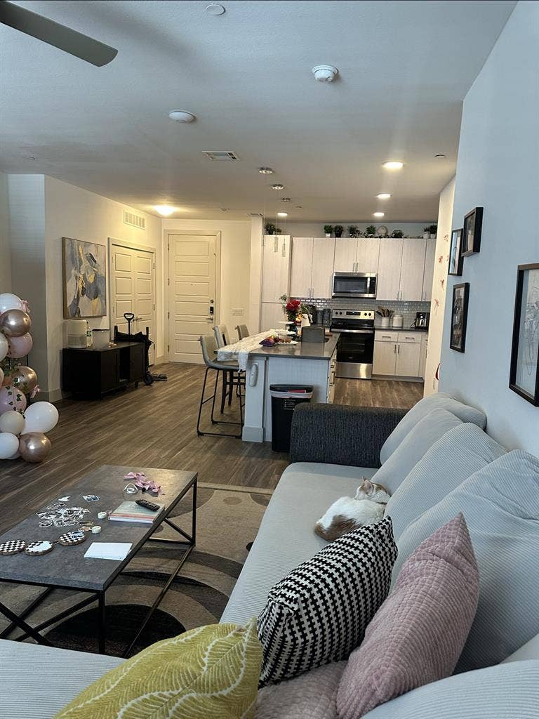 Roommate Needed