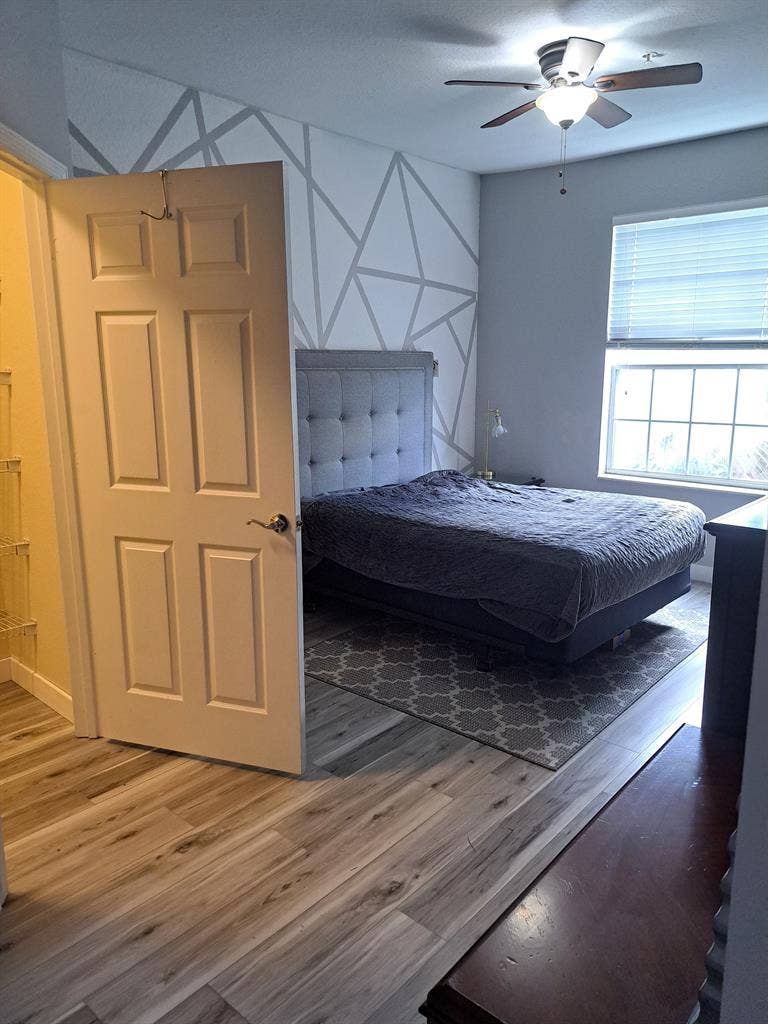 Looking for a Roommate