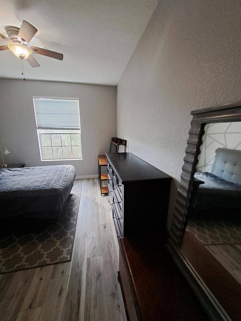 Looking for a Roommate