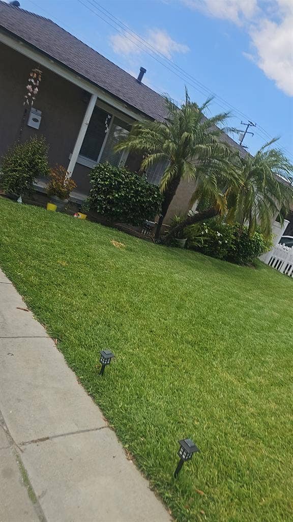 Relaxing home near LAX Airport