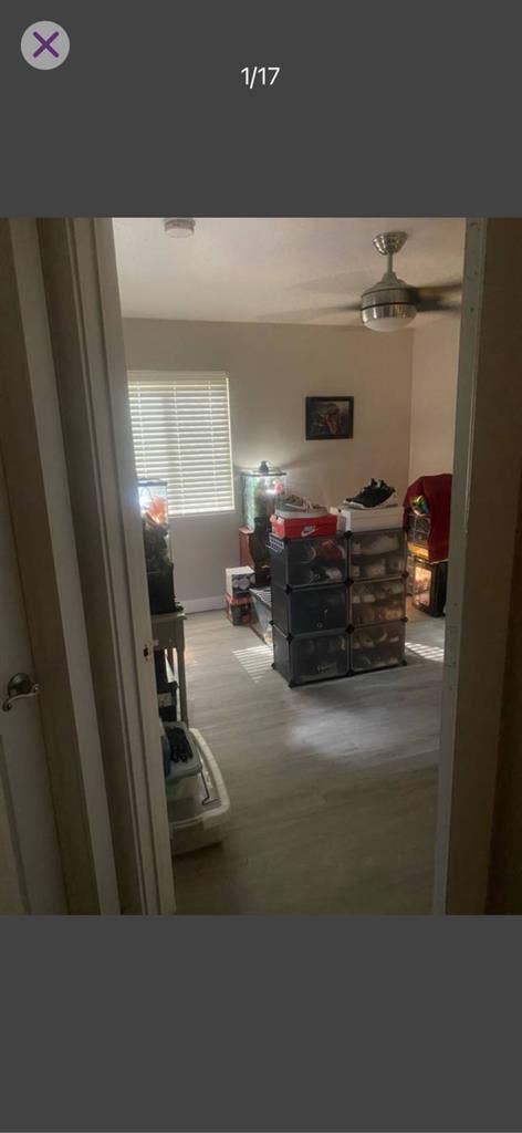 Looking for a roommate!