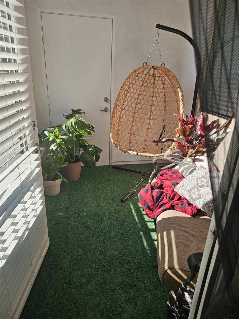 Looking for a tidy clean roommate
