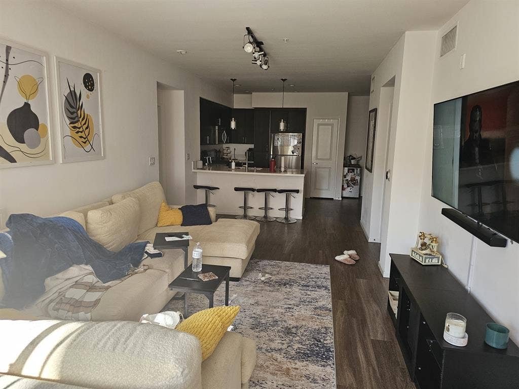 Looking for a tidy clean roommate