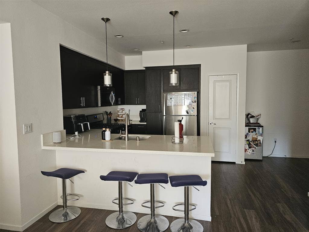 Looking for a tidy clean roommate