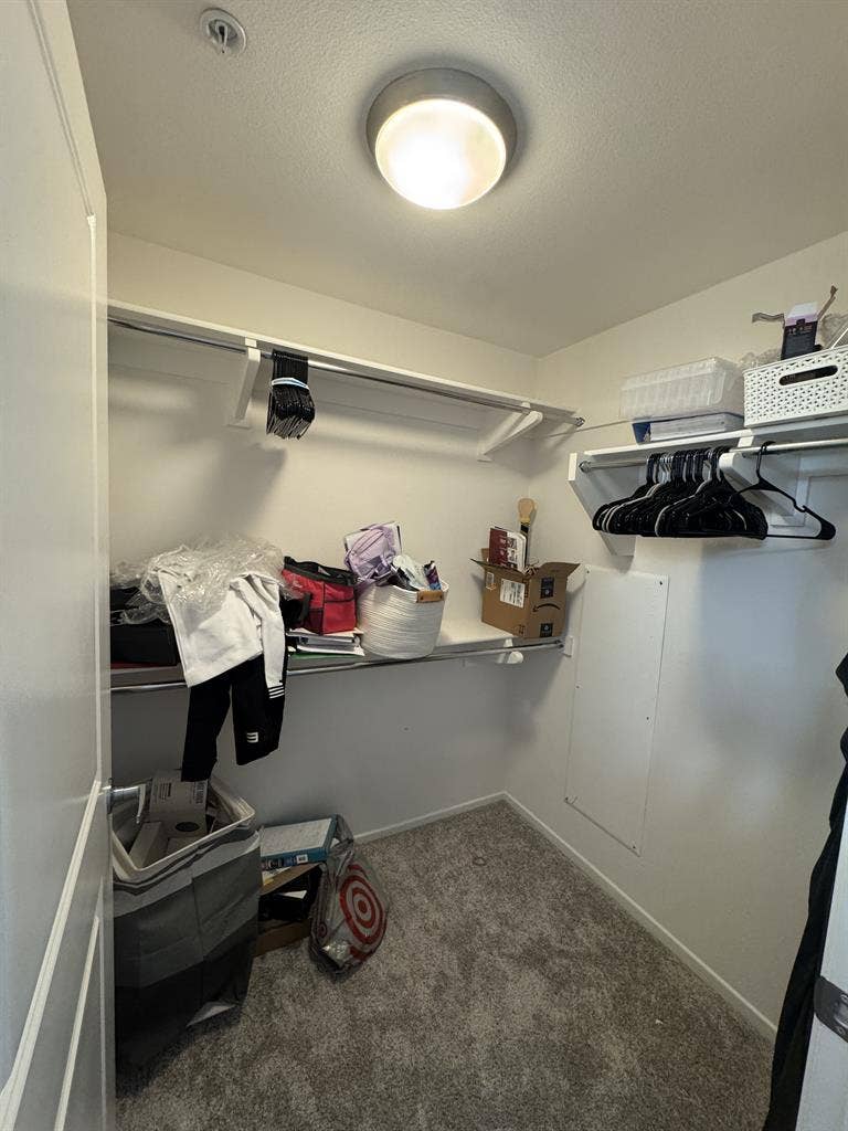 Looking for a tidy clean roommate