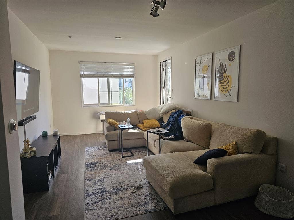 Looking for a tidy clean roommate