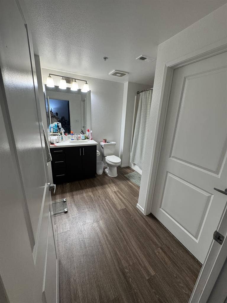 Looking for a tidy clean roommate
