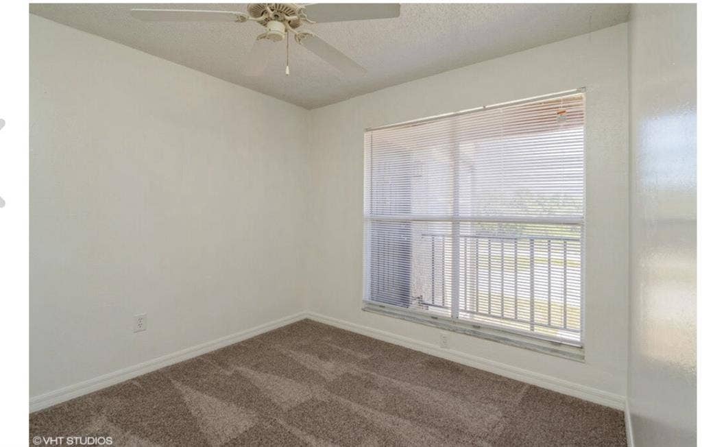 Need a roommate
