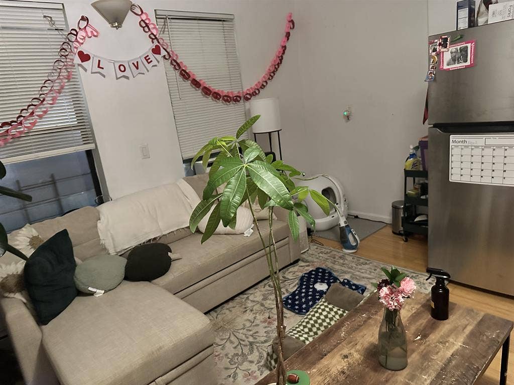 Sublet Available May 25th