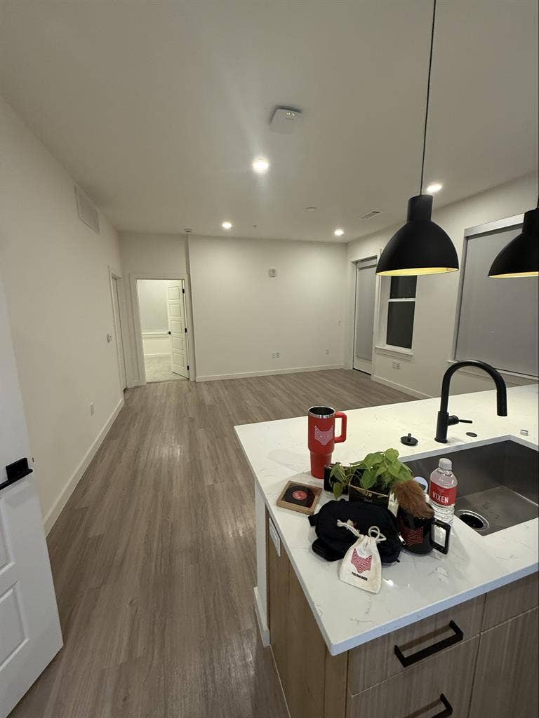 Looking for a roommate