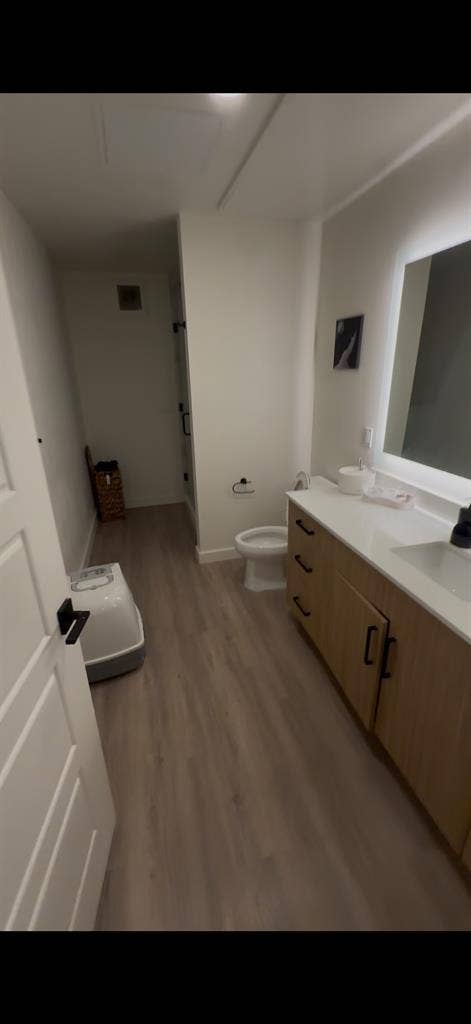 Looking for a roommate