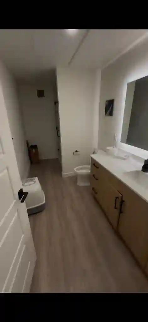Looking for a roommate