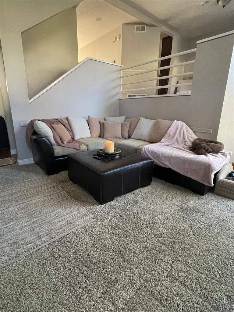 Seeking comfortable roomy situation