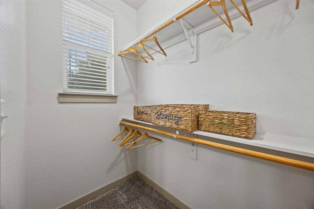 Female Roommate Needed!