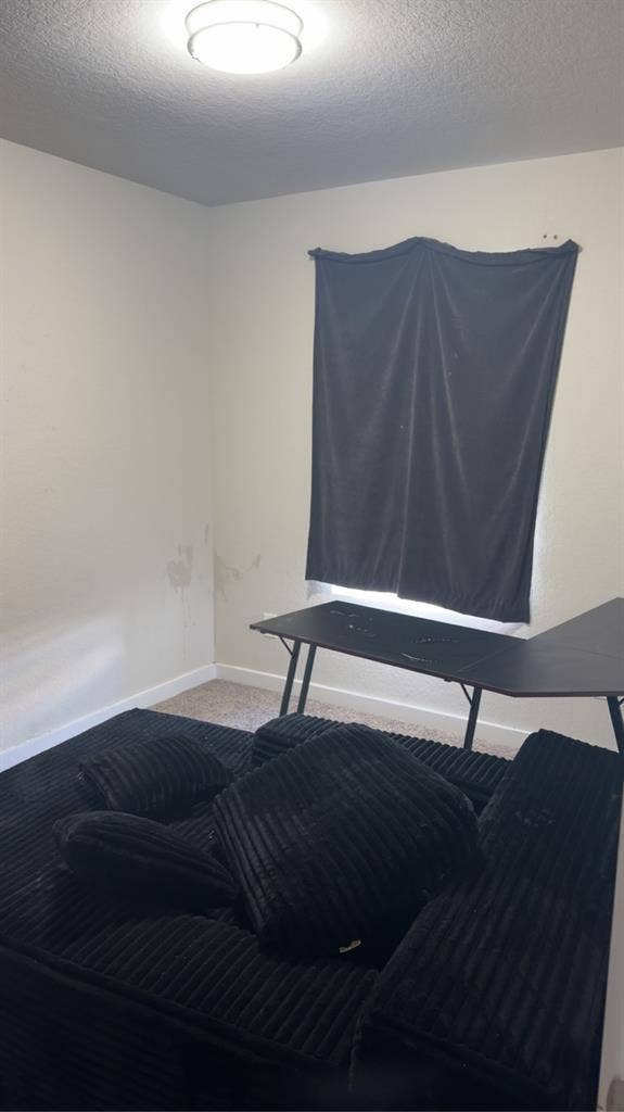 Roommate needed