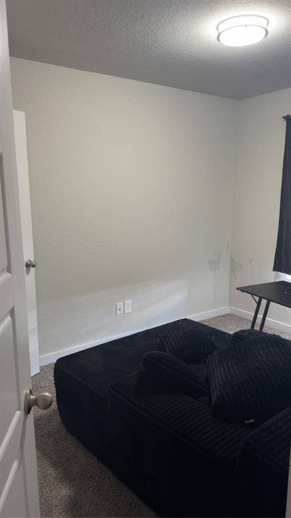 Roommate needed