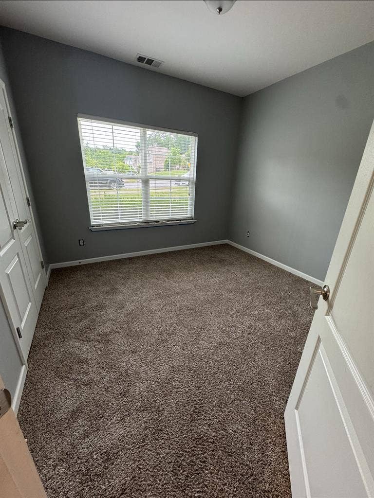 Looking for a roommate!
