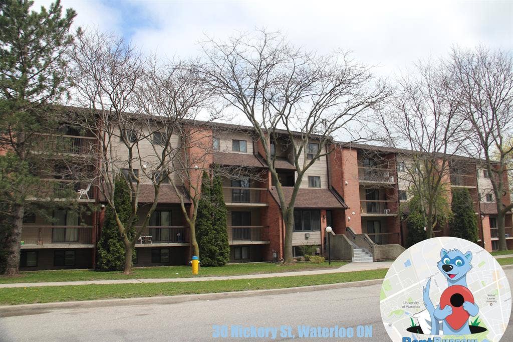 3-bed 1 bath Student Apartment