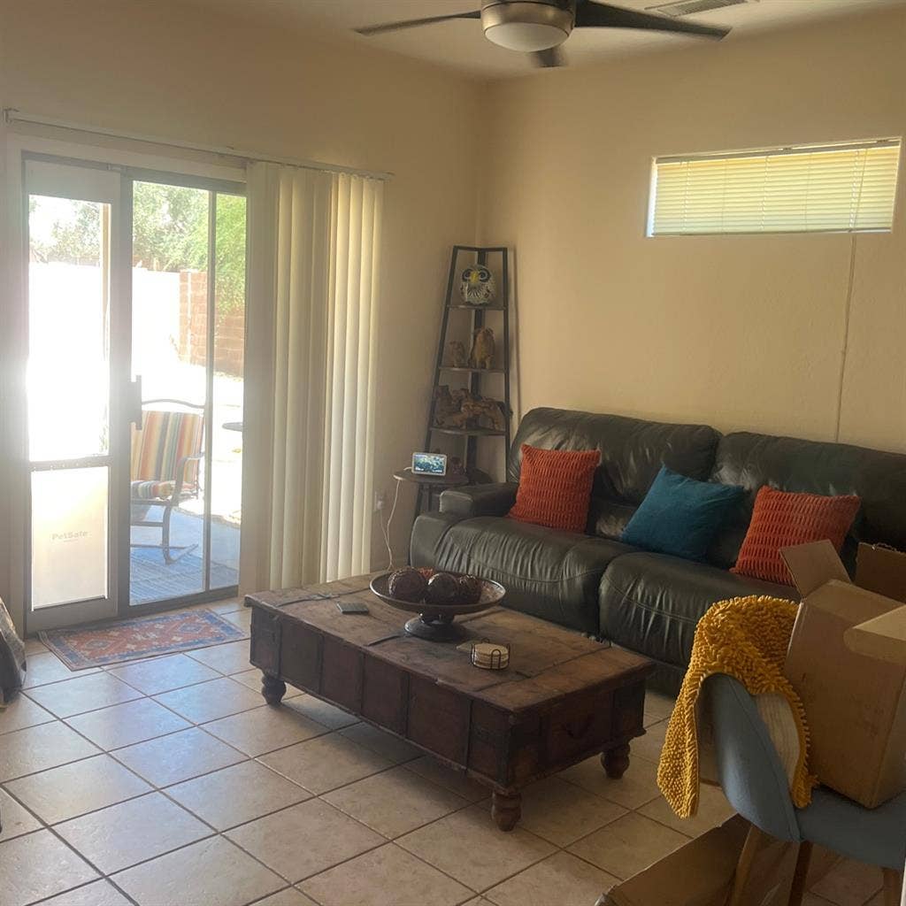 Looking for a roommate