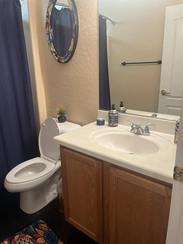 Looking for a roommate