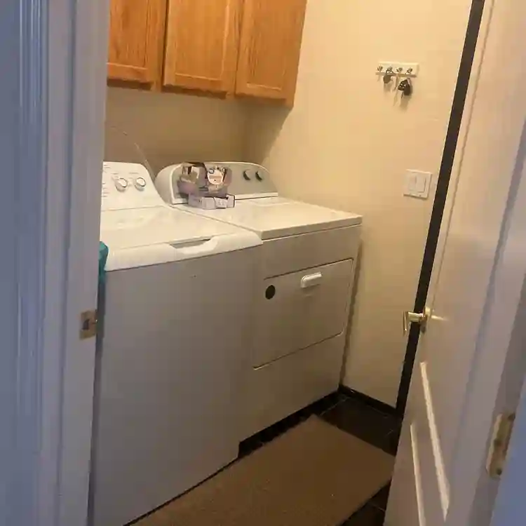 Looking for a roommate