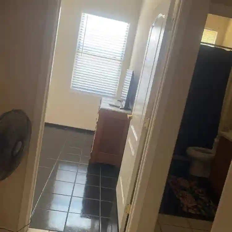 Looking for a roommate