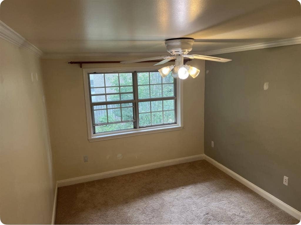 Room for rent in McLean Va
