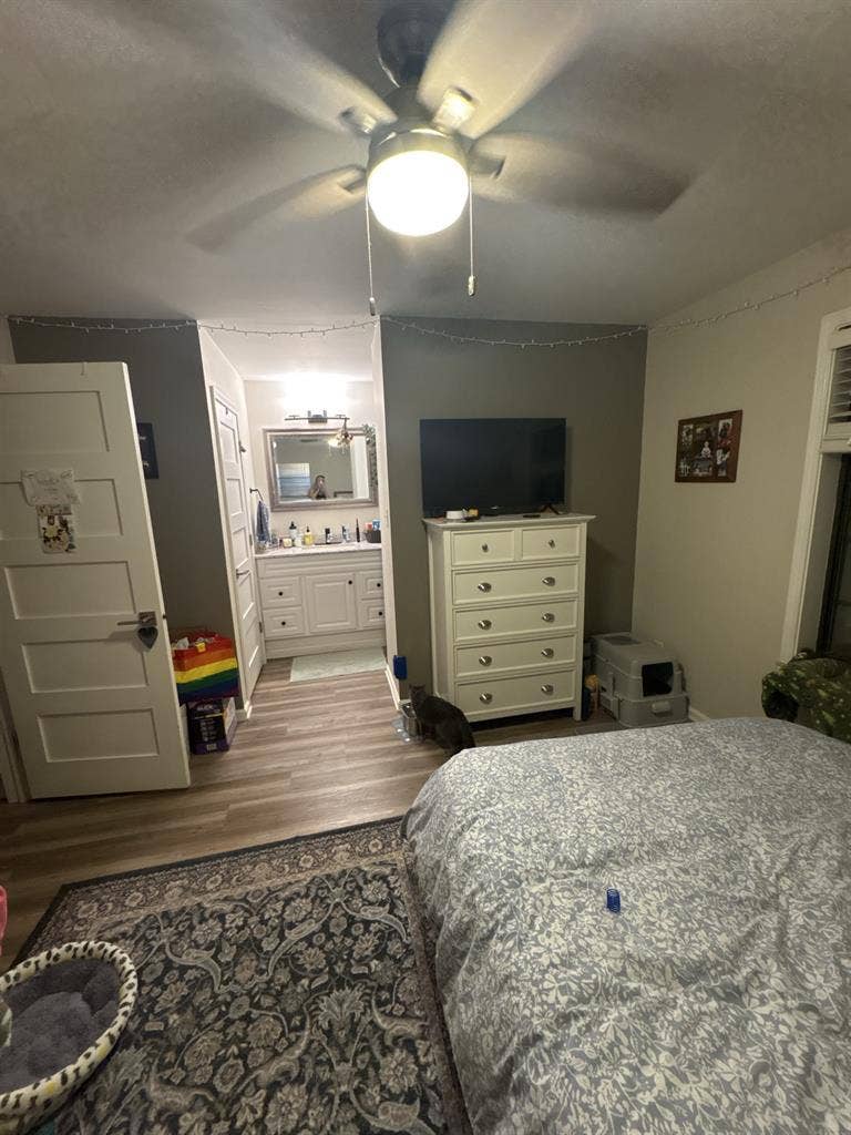 New Listing
