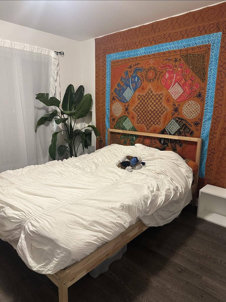 Looking for a female roommate!