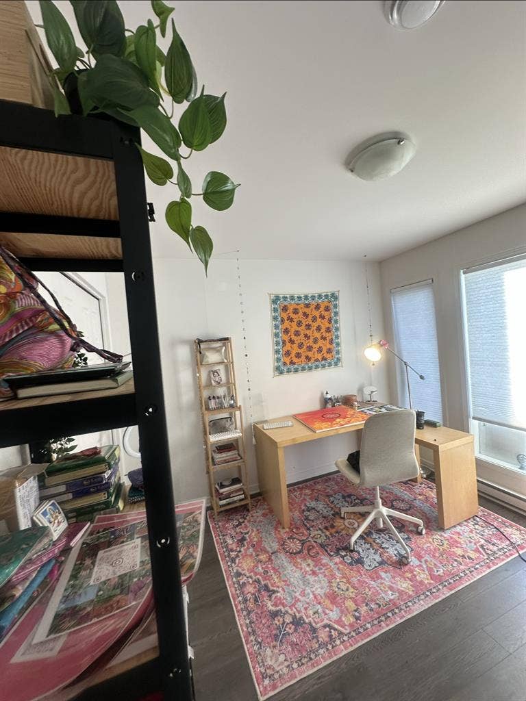 Looking for a female roommate!