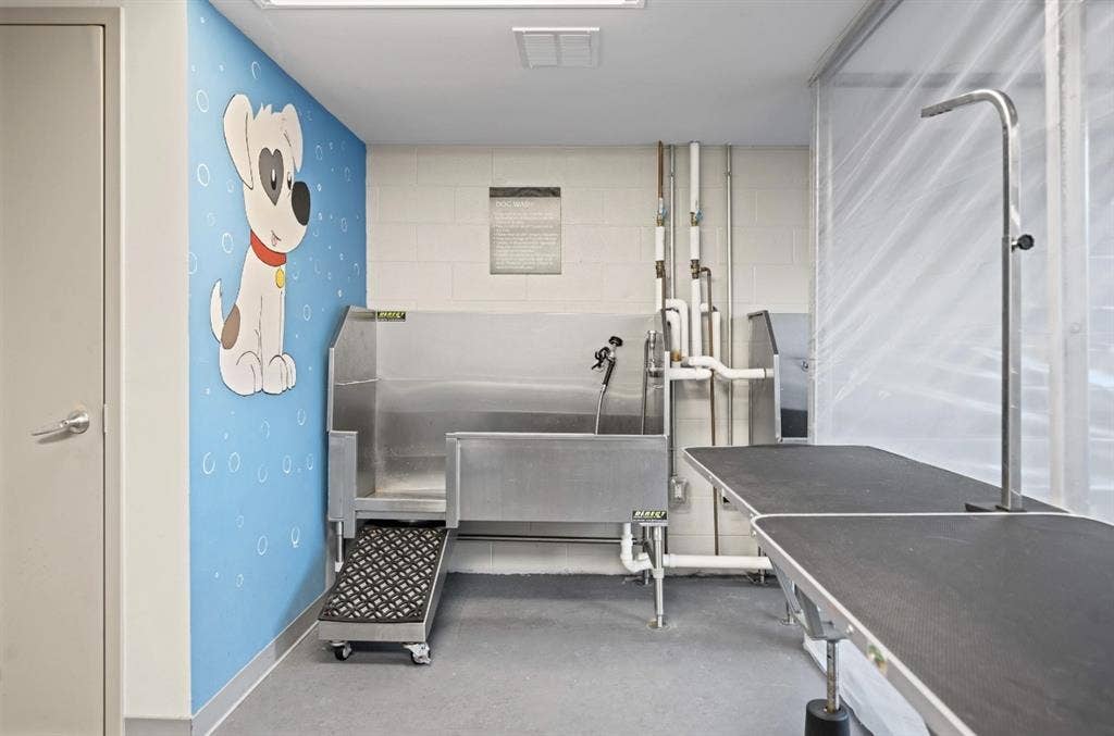 Summer Sublease – Female