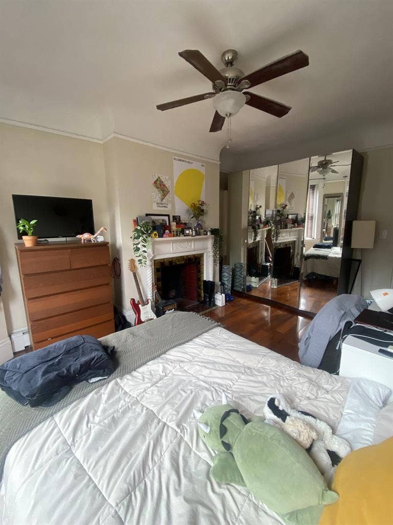 Looking For a Roommatee
