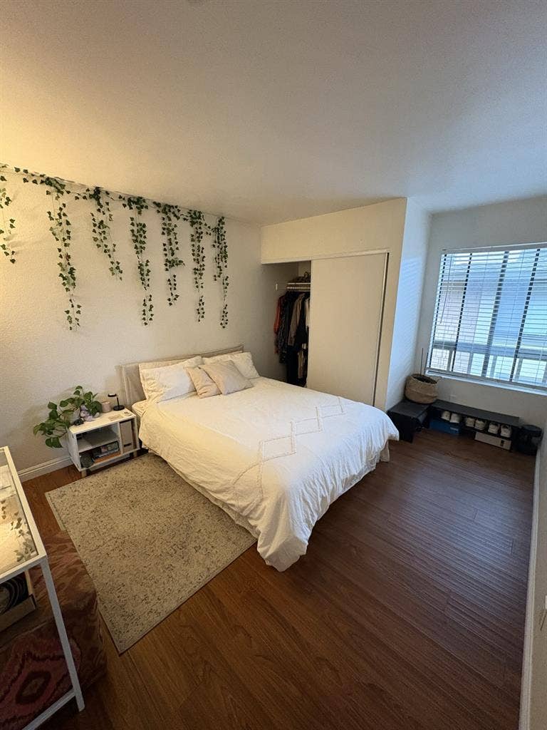 Room For Rent Mission Valley