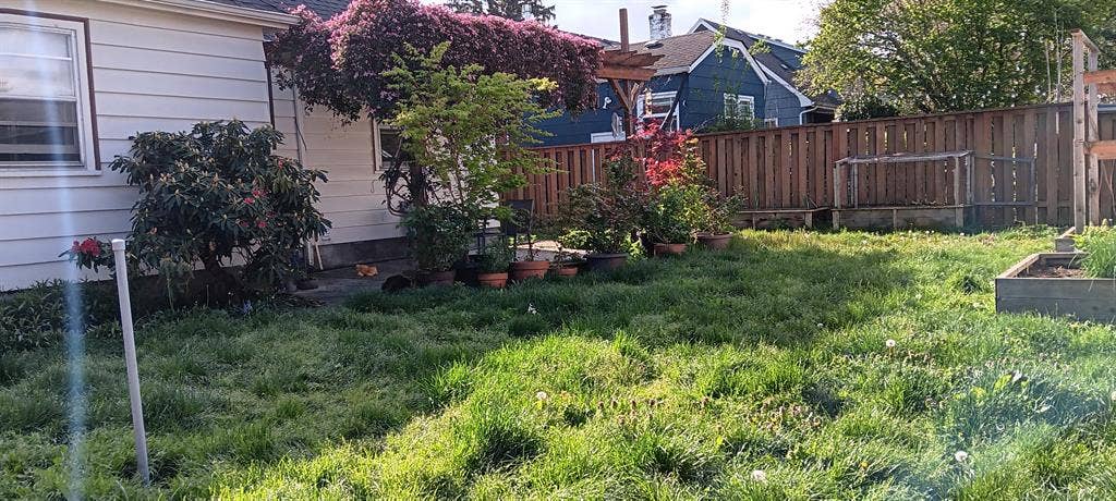 Room available in North Portland