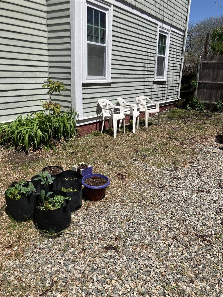 ISO Roommate: June-Sep/June-June