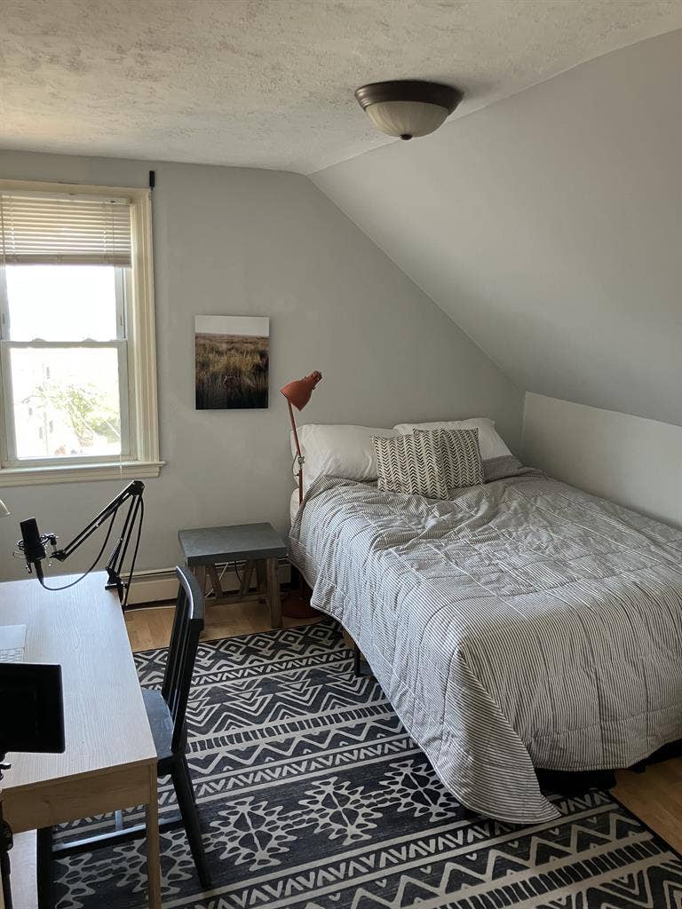 ISO Roommate: June-Sep/June-June