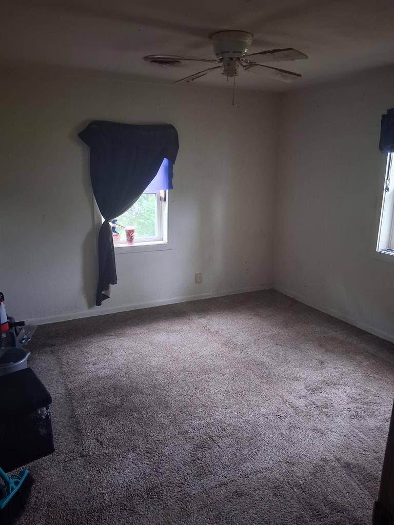 Needing a roommate ASAP