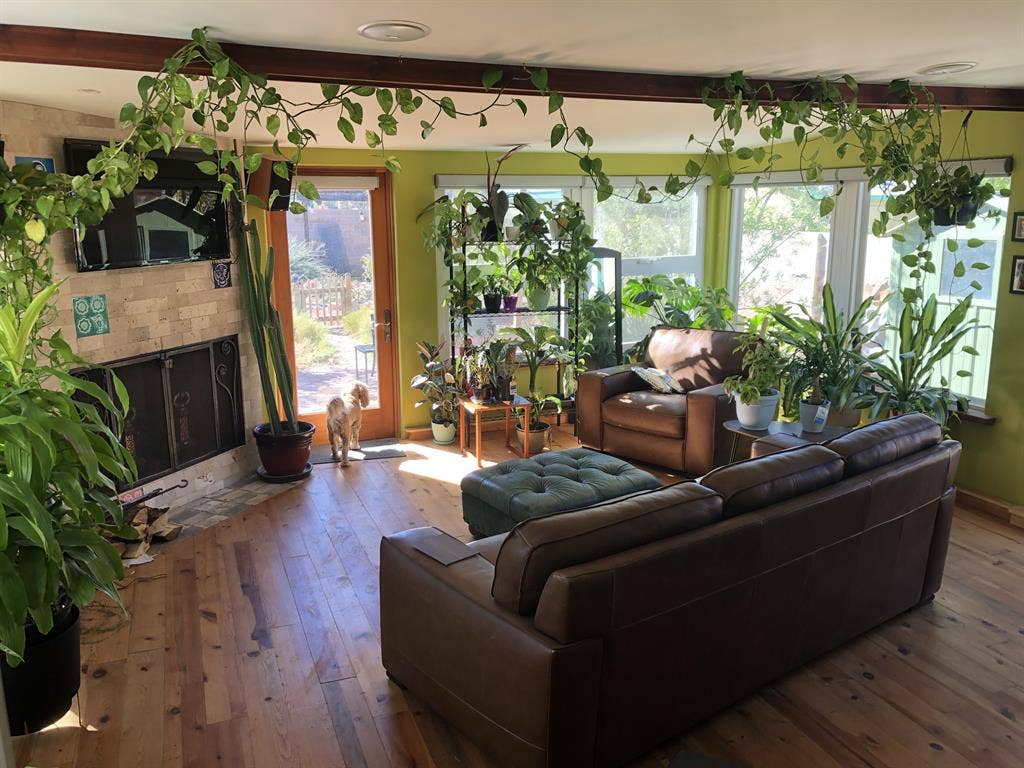 Looking for roomie in NE Heights!